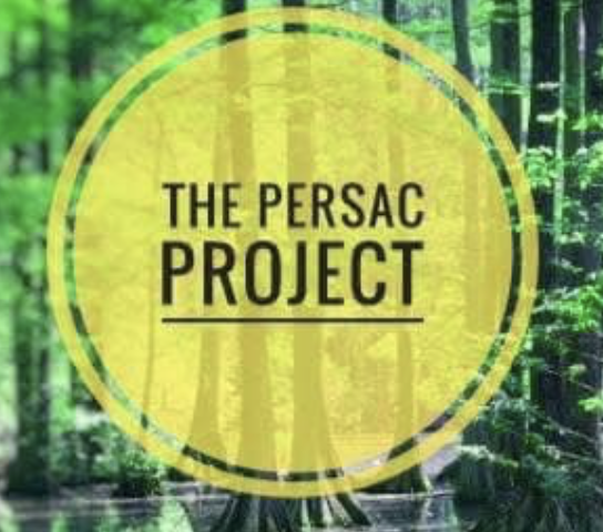 The Persac Project