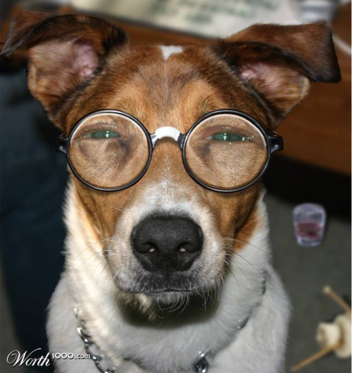 Old Dawgs - Live Music Thursday's