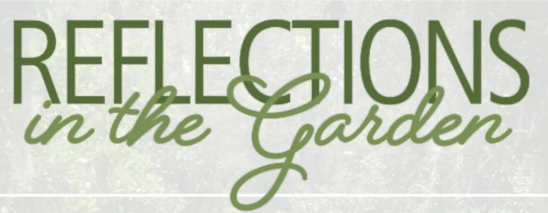 Reflections in the Garden